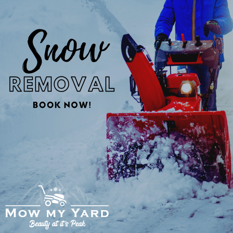 kijiji Snow 1 768x768